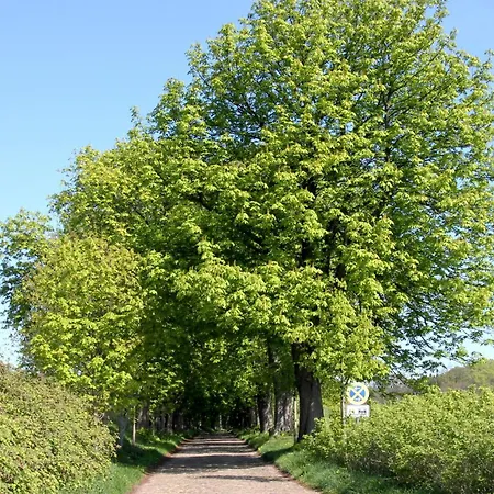 Vogelblick Haushaelfte 01 Mit Terrasse, Garten * Vaschvitz